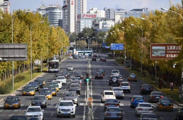 眼下的四十亩地与肩上的九千名学子:我在中蓝社区的“十五五”